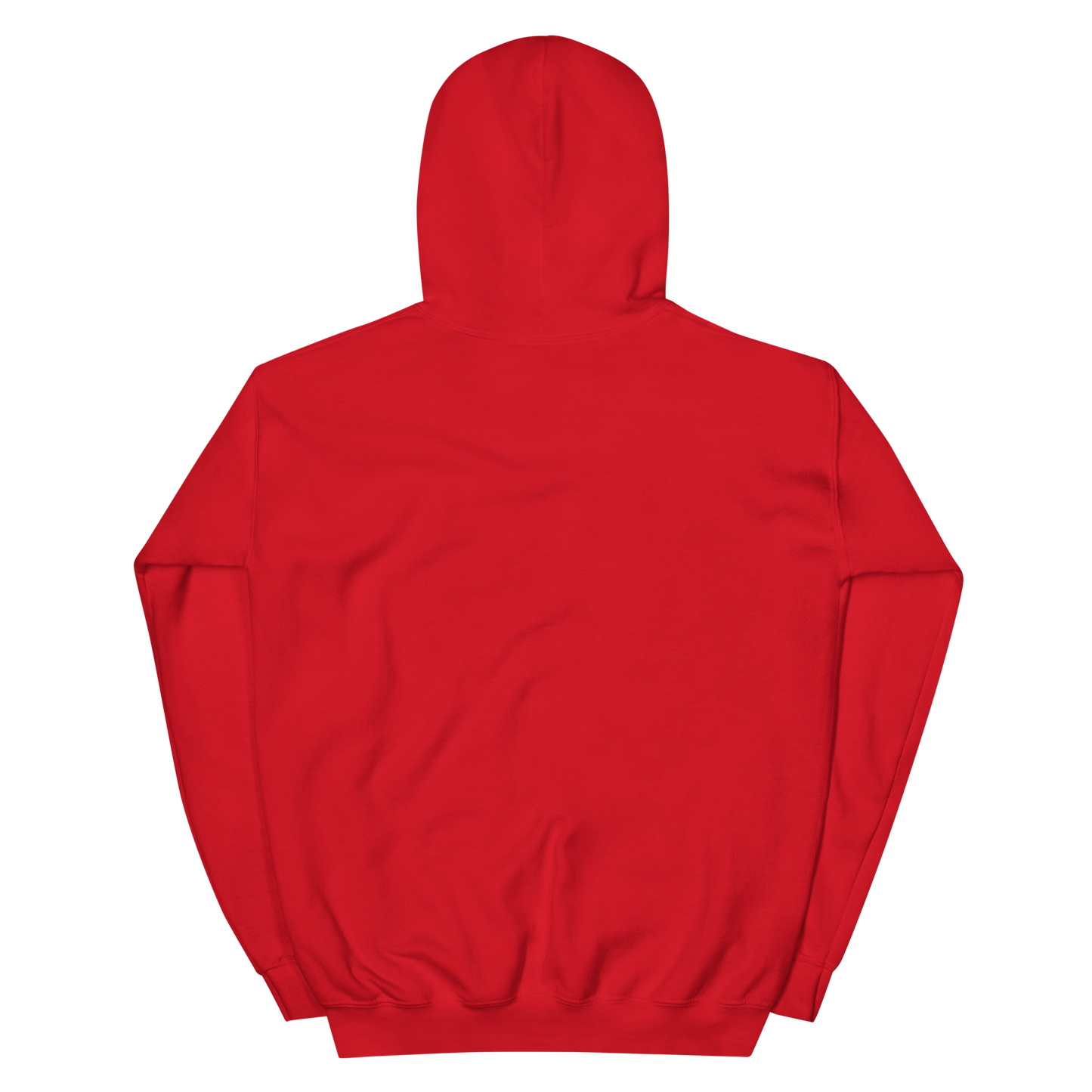 To Frio Snowflake Sleeve Dominican Unisex Hoodie